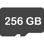 256GB